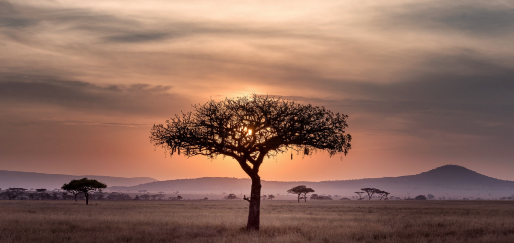 Travel Agency for Tanzania